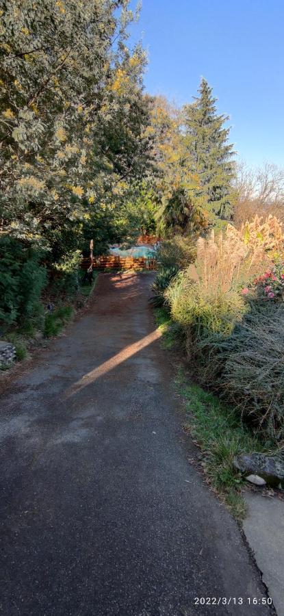 B&B En Plein Coeur De La Foret Artiguelouve エクステリア 写真